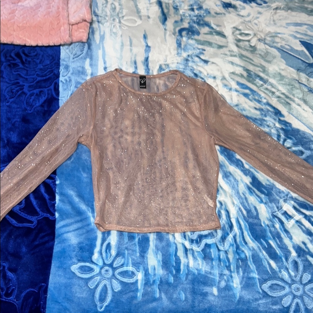 Sheer Sparkly Long Sleeve Top